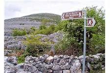 Beauty Of the Burren Walks image 3