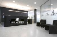 The Mercen image 4
