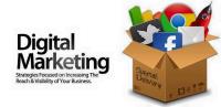 Freelance Digital Marketing Expert image 1