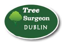 Tree Surgeon Dublin image 4