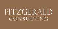 Fitzgerald Consulting - Business Consultant image 3