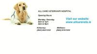 All Care Veterinary Centre image 7