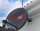 TV & Satellite Servives logo
