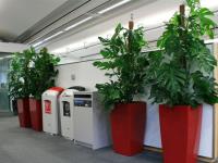 Universal Floral Office Plants Rental  image 3