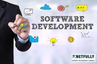 Netfully Software Development image 5
