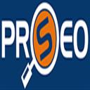 PRO SEO Web Design Dublin logo