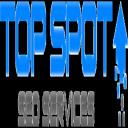 Top Spot SEO logo
