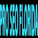 PRO SEO Florida logo