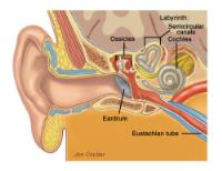 TheAudiologyClinic image 6