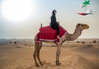 Dune Bashing Dubai image 3