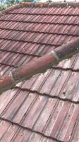 Quality Roofing & Building Services image 4