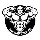 MEGAPUMP logo