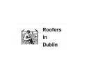 Roofers In Dublin logo