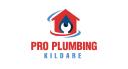 Pro Plumbing Kildare logo