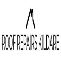 Roof Repairs Kildare image 1