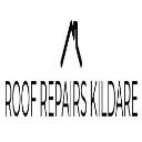 Roof Repairs Kildare logo