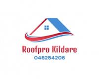 Roofpro Kildare image 1