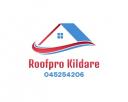 Roofpro Kildare logo