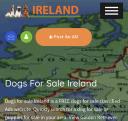Dogs for sale Ireland  logo