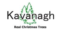 Kavanagh Christmas Trees - Leopardstown Dublin image 1