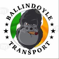Ballindoyle Transport image 1