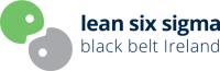 Six Sigma Black Belt image 1