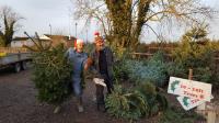 Caulstown Christmas Tree Farm image 8