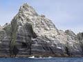 Boat Trips to Skelligs Rock with Casey's image 6