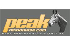 Peak Horse image 1