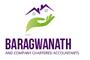 Baragwanath and Company Chartered Accountants logo