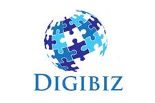 DigiBiz image 1
