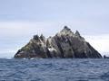 Boat Trips to Skelligs Rock with Casey's image 5