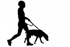Pitter patter dog walking and training image 2