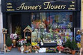 Aanees Flowers Shop Letterkenny Donegal logo