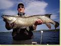 Angling Services Ireland image 1