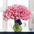 Arbour Blooms Florist image 1