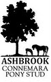Ashbrook Connemara Pony Stud logo