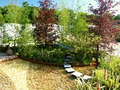 Austen Associates (Garden Design) and Austen Flowers (Events&Flower School) image 2