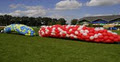 BalloonDecor Ireland image 1