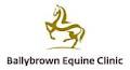 Ballybrown Equine Clinic image 6