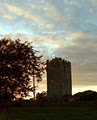 Ballyhannon Castle image 1
