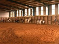 Belmount Equestrian Centre image 3