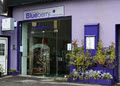 Blueberry Gallery logo