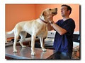 Borovalley Equine Veterinary Clinic image 3