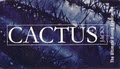 Cactus Jacks Restaurants Galway logo