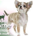 Canine Ireland - Dog Registration Club image 2