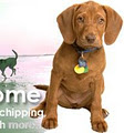 Canine Ireland - Dog Registration Club image 6