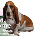 Canine Ireland - Dog Registration Club logo