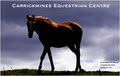 Carrickmines Equestrian Centre Ltd image 6
