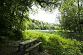 Castlecomer Discovery Park image 1